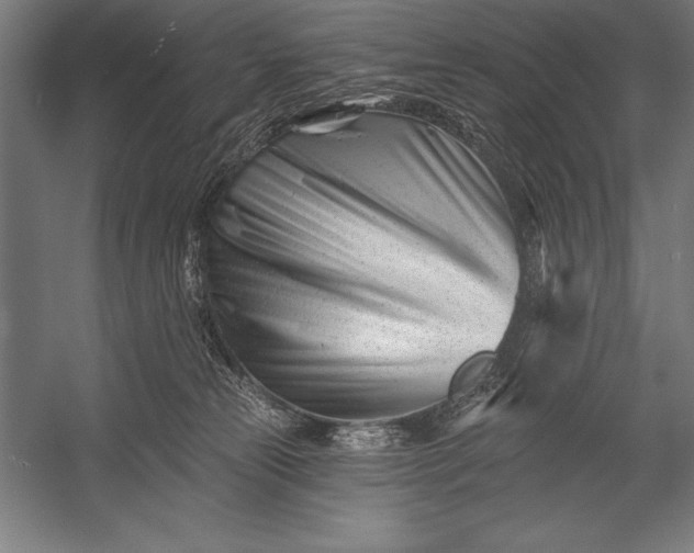 X0000053020181200507221349