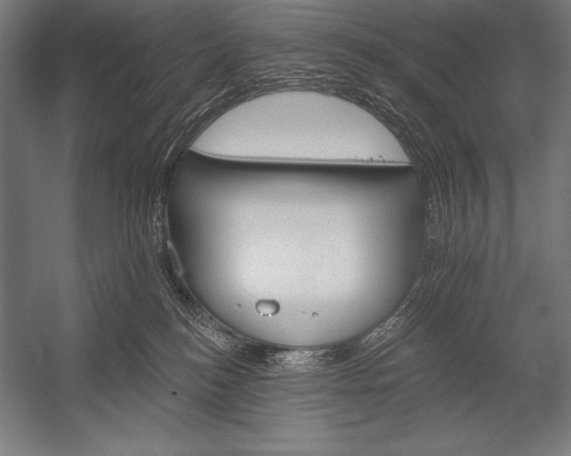 X0000053020184200507221349