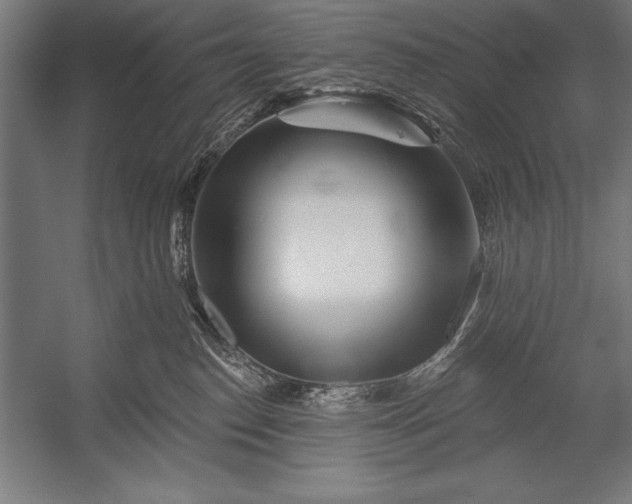 X0000053020186200507221349