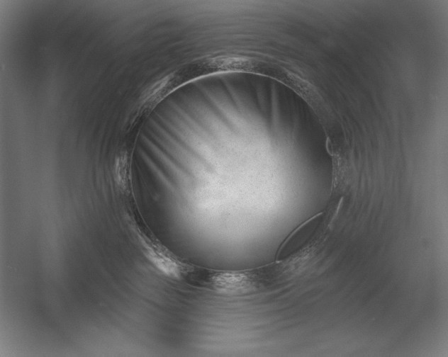 X0000053020189200507221349