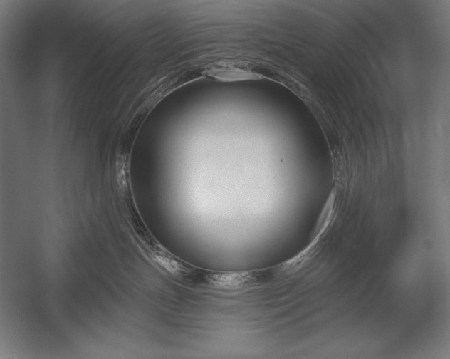 X0000053020191200507221349