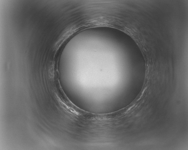 X0000053020194200507221348