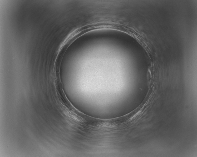 X0000053020198200507221348