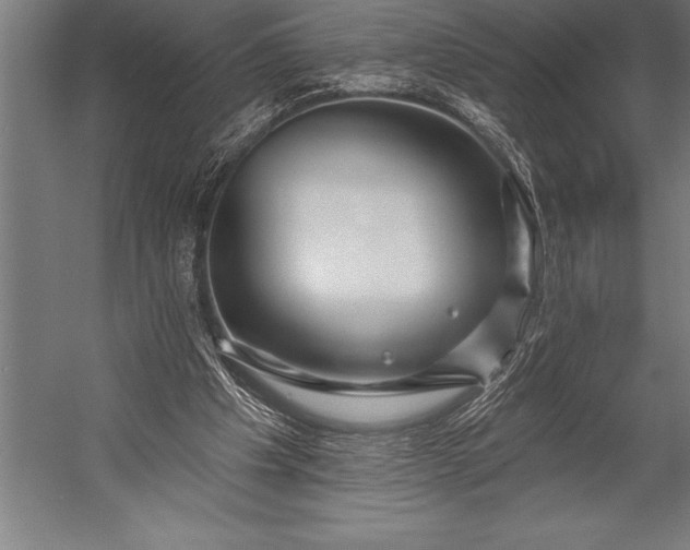 X0000053020201200507221348