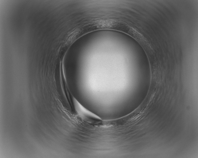 X0000053020209200507221348