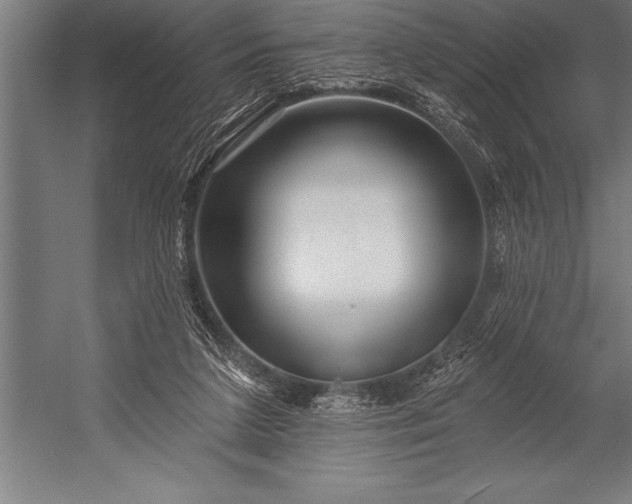 X0000053020211200507221348