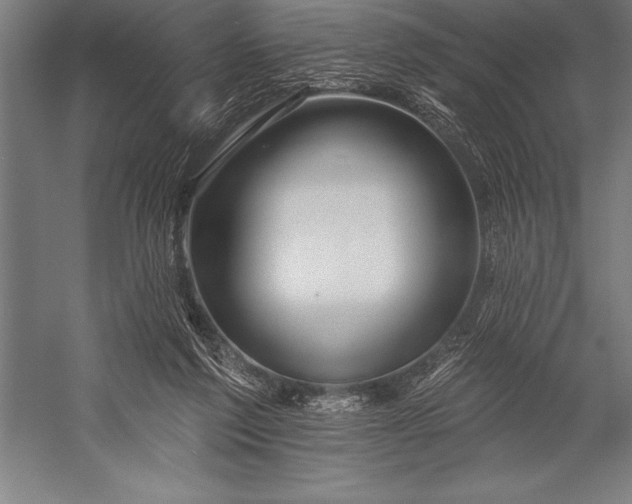 X0000053020213200507221348