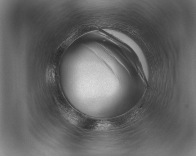 X0000053020214200507221348