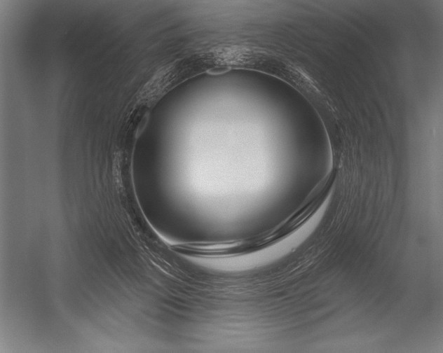 X0000053020217200507221348