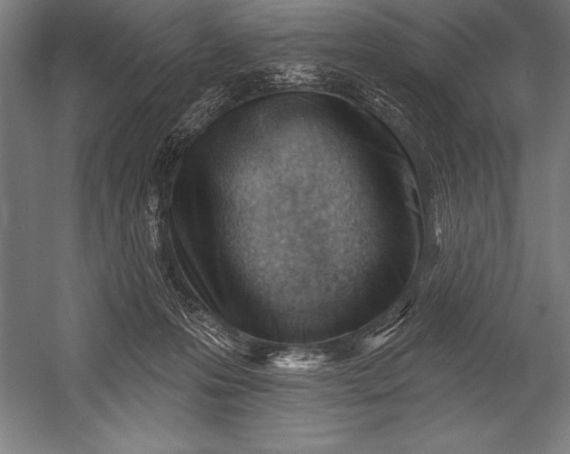X0000053020223200507221348