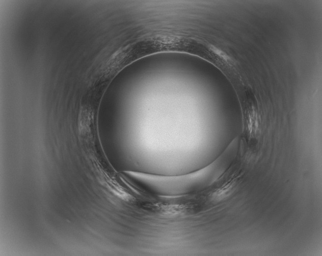 X0000053020225200507221348