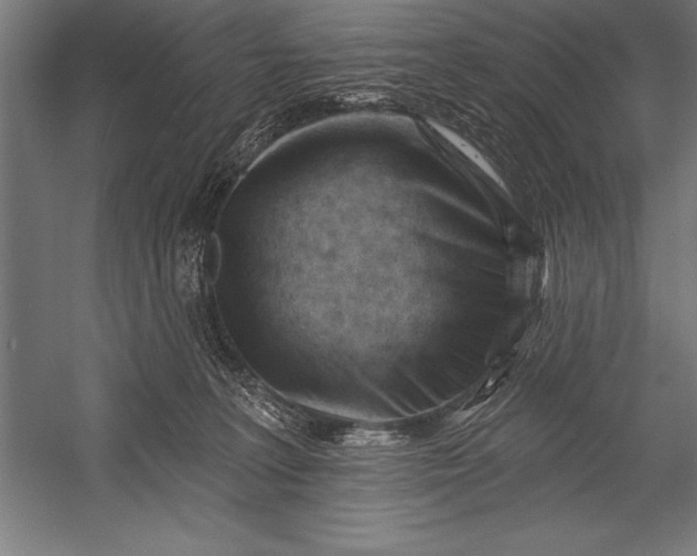 X0000053020227200507221348