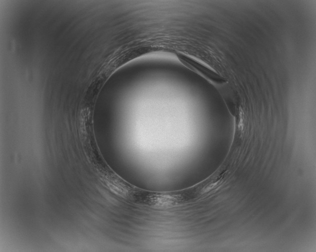 X0000053020229200507221348