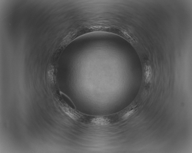 X0000053020231200507221348