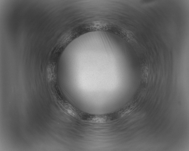 X0000053020236200507221348