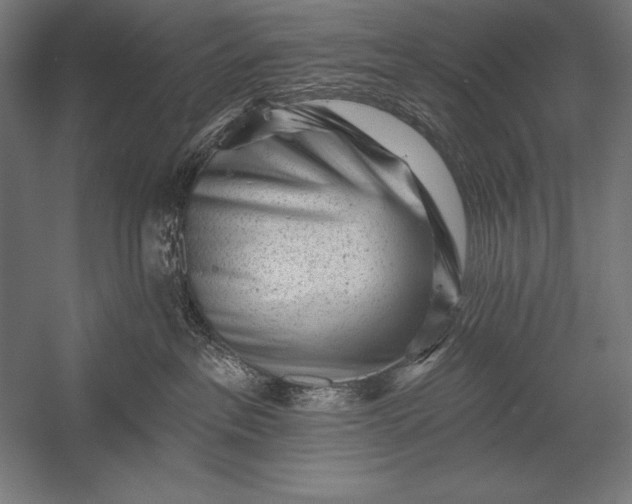 X0000053020237200507221348