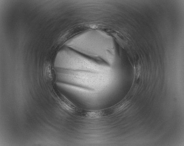 X0000053020238200507221348