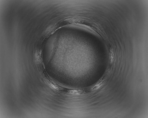 X0000053020239200507221348
