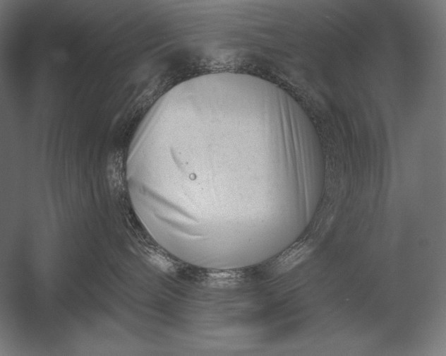 X0000053020240200507221348