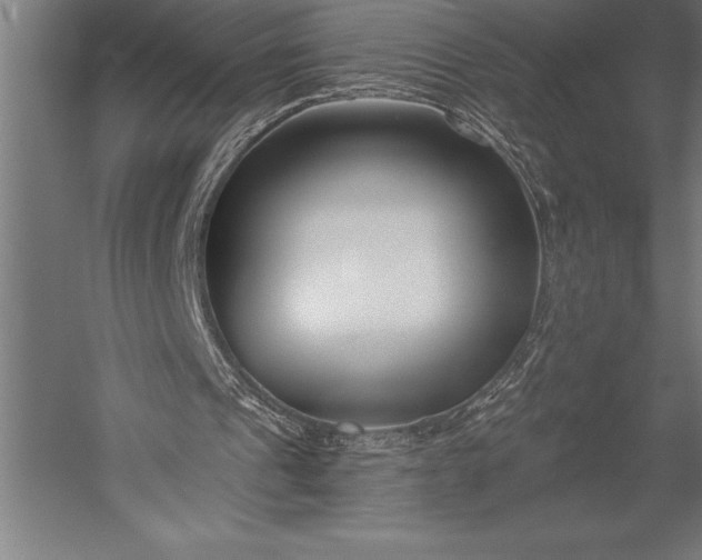 X0000053020241200507221347