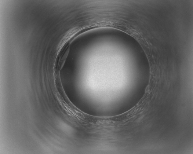 X0000053020242200507221347