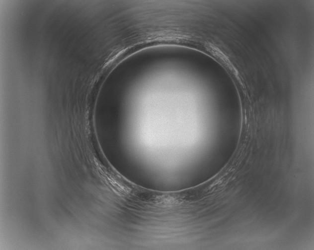 X0000053020249200507221347