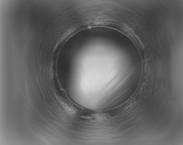 X0000053020250200507221347