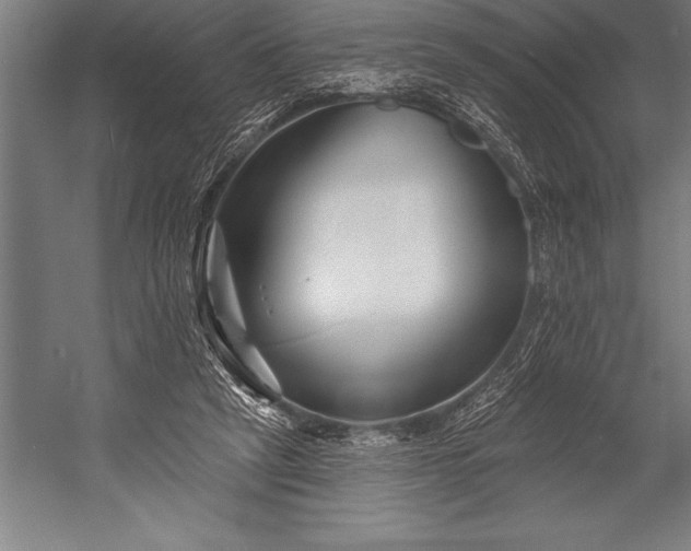 X0000053020257200507221347