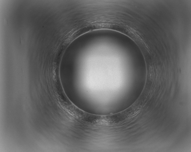 X0000053020259200507221347