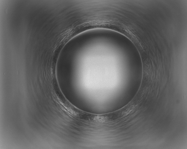 X0000053020261200507221347