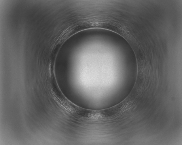 X0000053020262200507221347