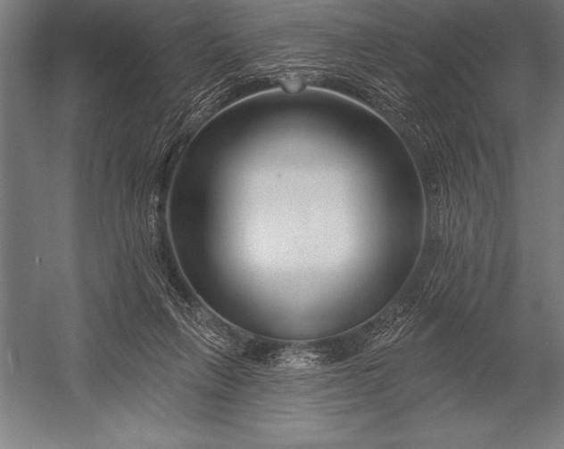 X0000053020263200507221347