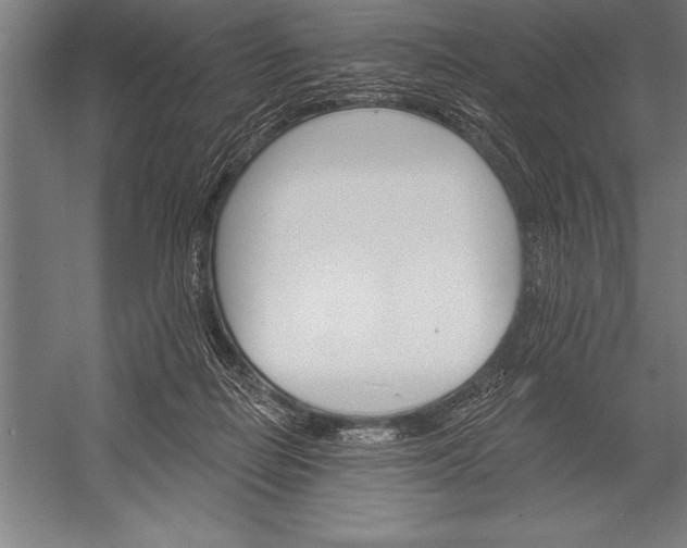 X0000053020266200507221347