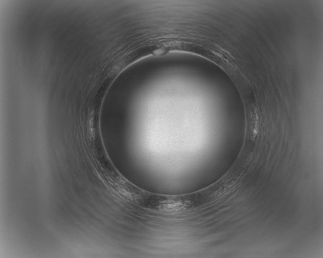 X0000053020267200507221347