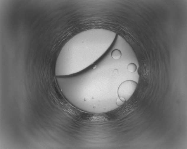 X0000053020270200507221347