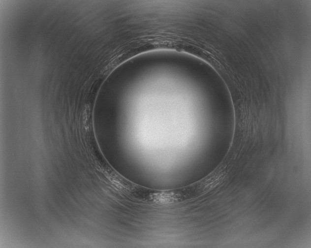 X0000053020273200507221347