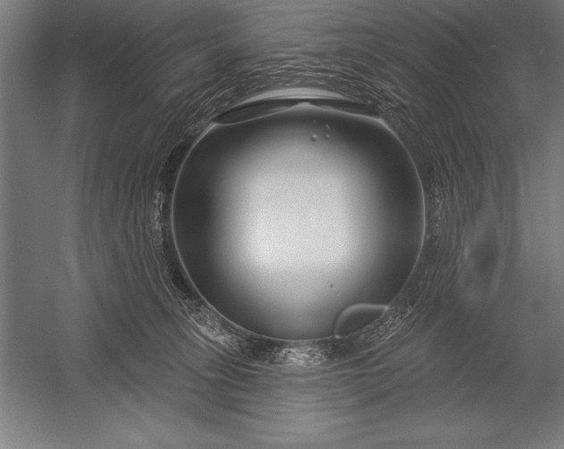X0000053020275200507221347