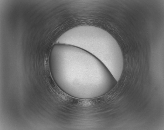 X0000053020276200507221347