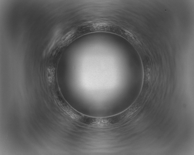 X0000053020278200507221347