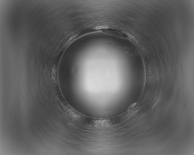 X0000053020281200507221347