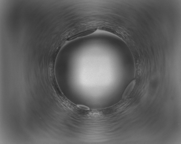 X0000053020283200507221347