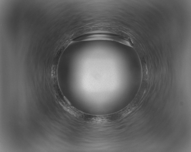 X0000053020284200507221348