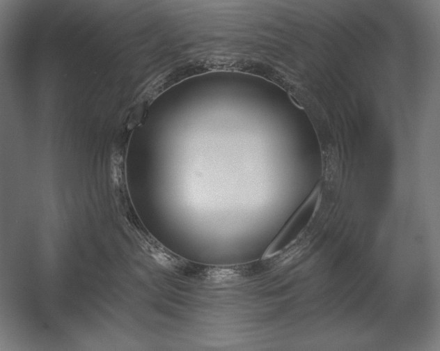 X0000053020287200507221348