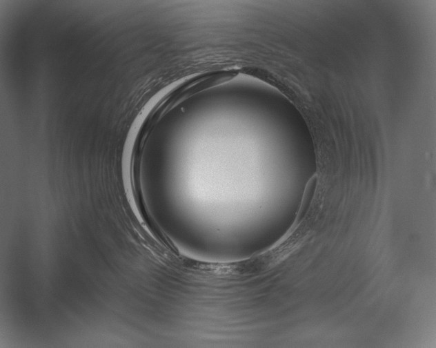 X0000053020288200507221348