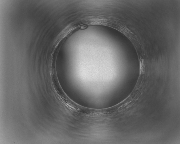 X0000053020291200507221347