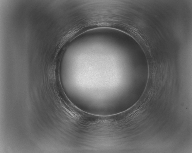 X0000053020299200507221347