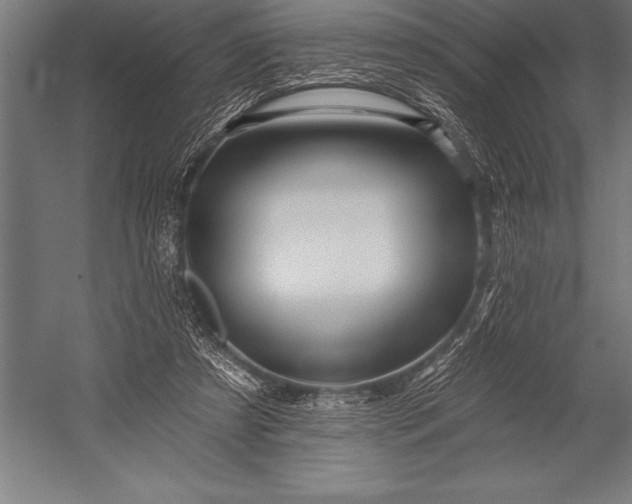 X0000053020305200507221346