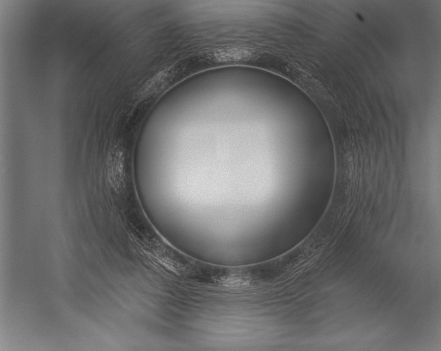 X0000053020308200507221346