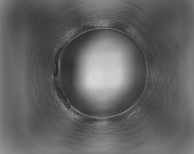 X0000053020309200507221346
