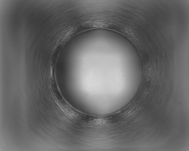 X0000053020310200507221346